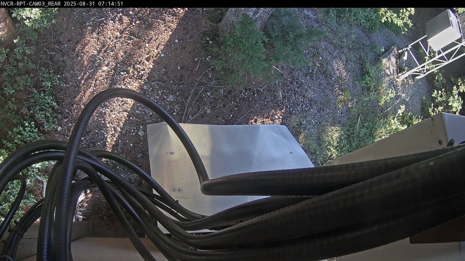 Web Cam History Image - 954