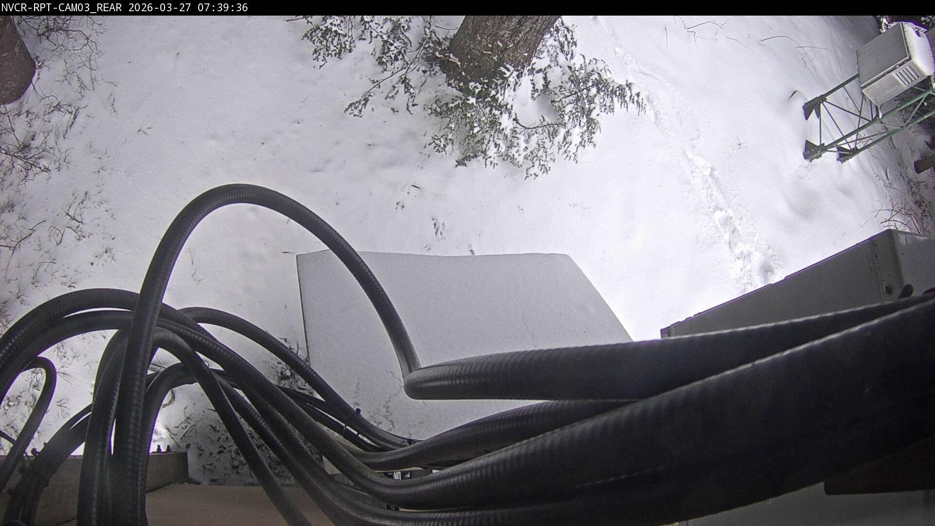 Web Cam History Image - 954