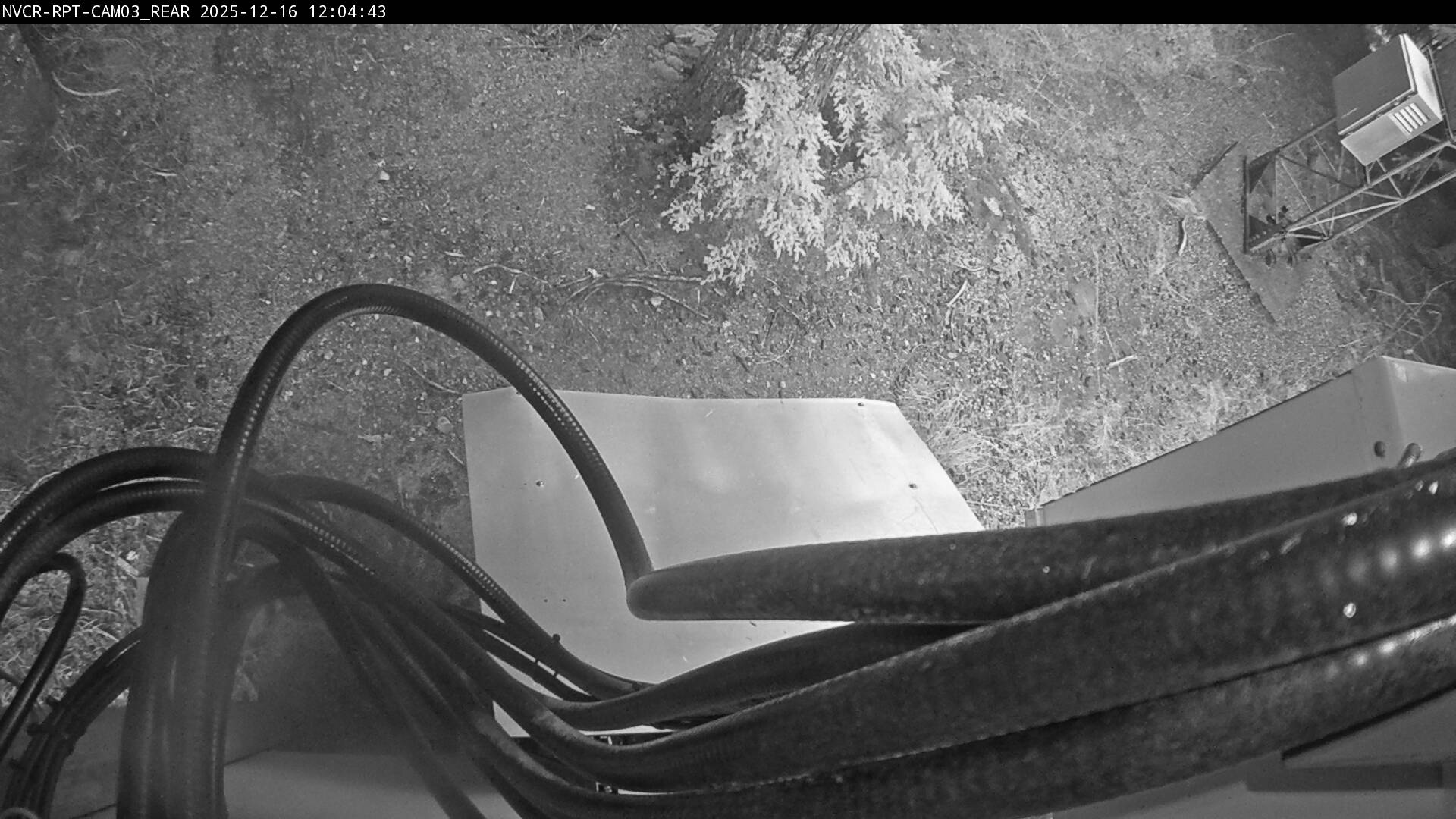 Web Cam History Image - 956