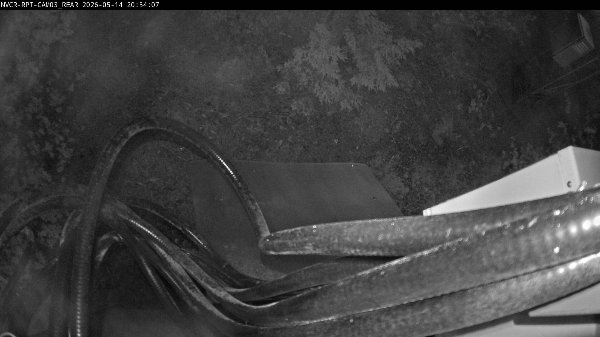 Web Cam History Image - 957