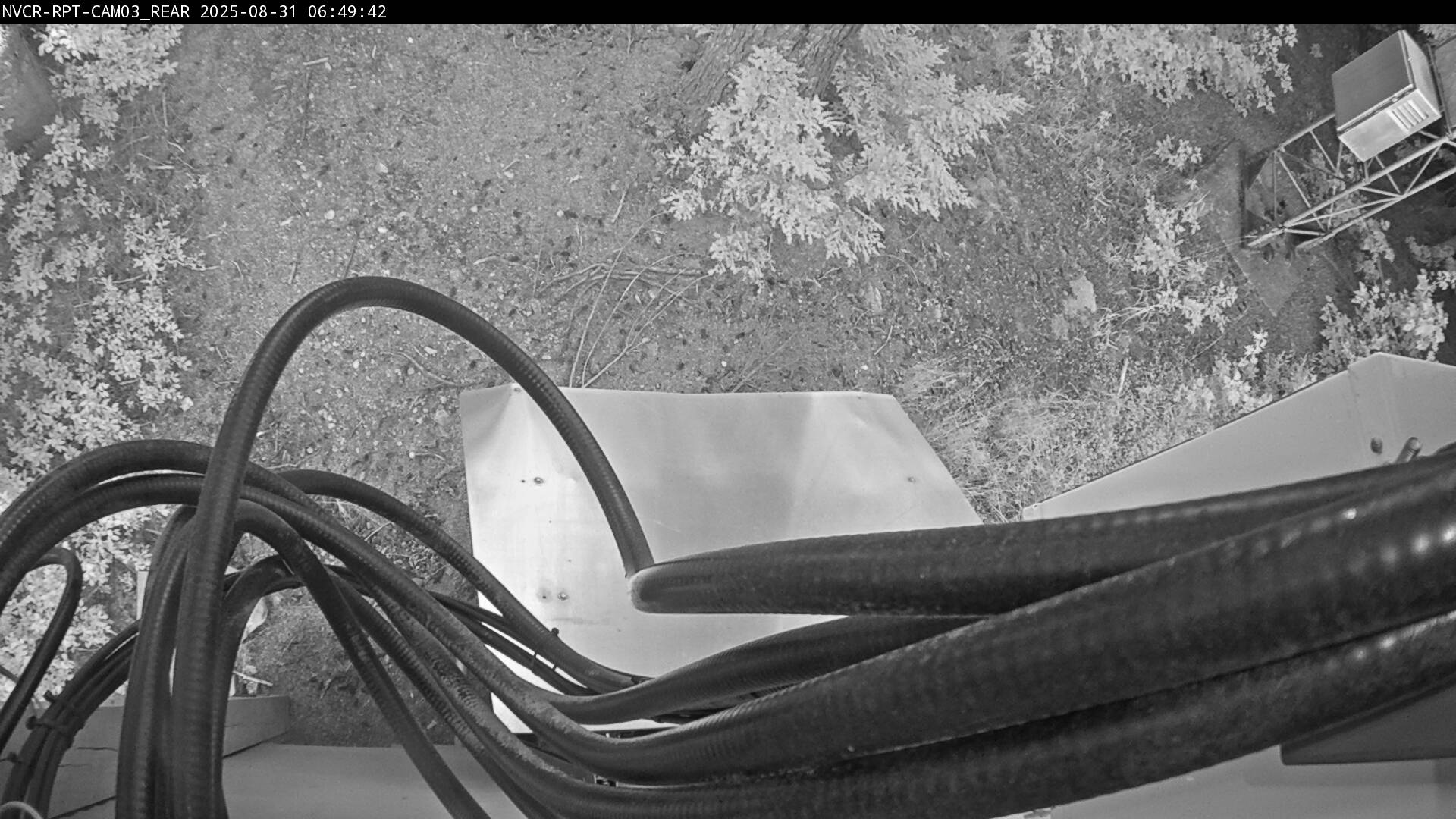 Web Cam History Image - 958