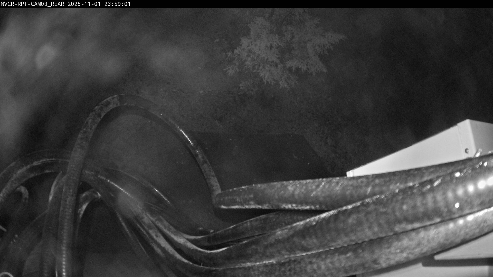 Web Cam History Image - 958