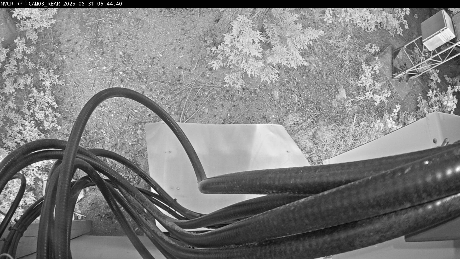 Web Cam History Image - 959