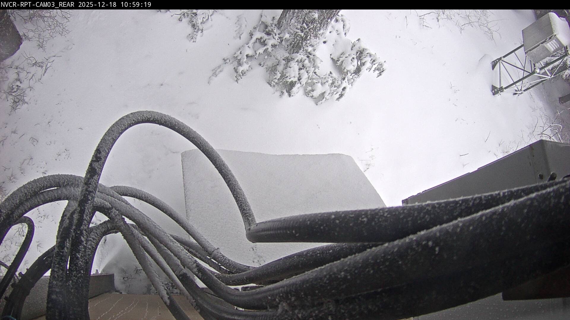 Web Cam History Image - 959