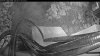 Web Cam Image - Sat, 06/27/2026 3:39am PDT
