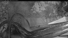 Web Cam Image - Fri, 07/03/2026 8:14pm PDT