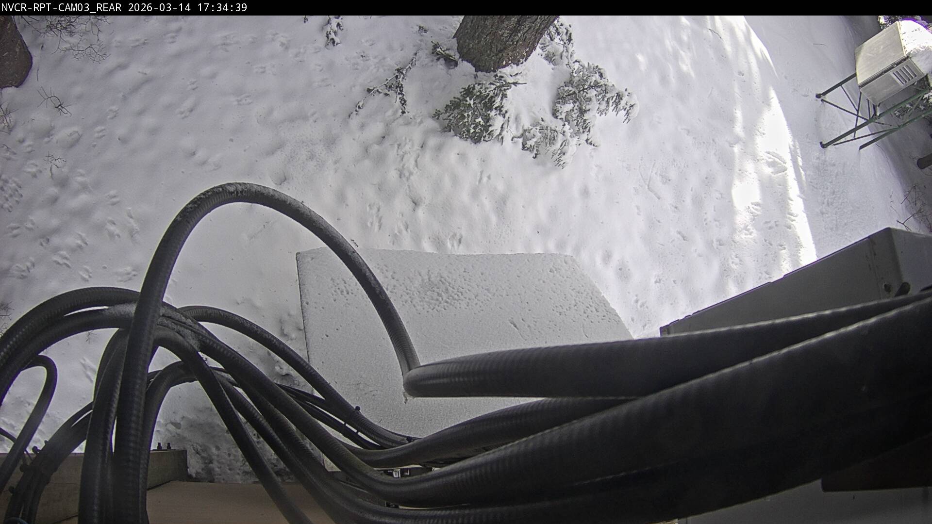 Web Cam History Image - 961