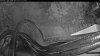 Web Cam Image - Tue, 09/01/2026 7:09pm PDT