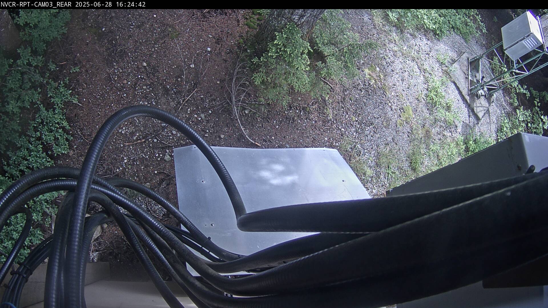Web Cam History Image - 962