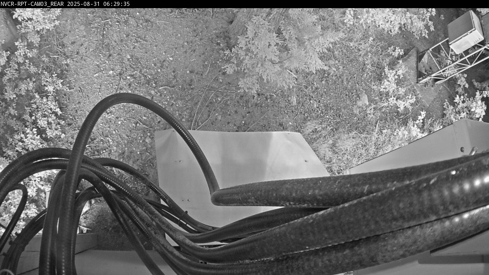 Web Cam History Image - 962