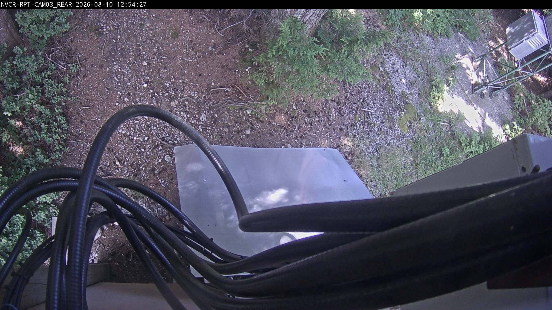 Web Cam History Image - 962