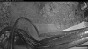 Web Cam Image - Wed, 06/03/2026 7:39pm PDT