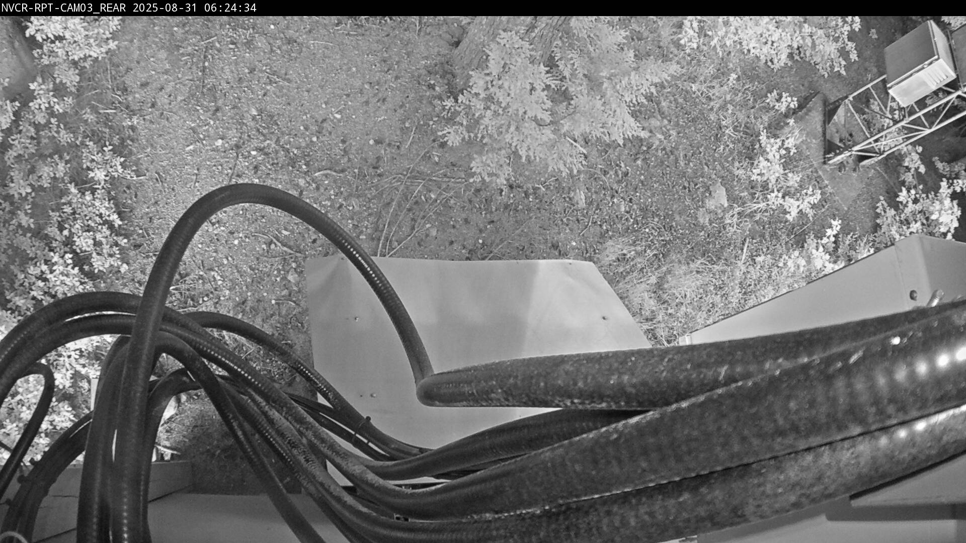 Web Cam History Image - 963