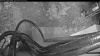 Web Cam Image - Sun, 05/03/2026 4:24am PDT