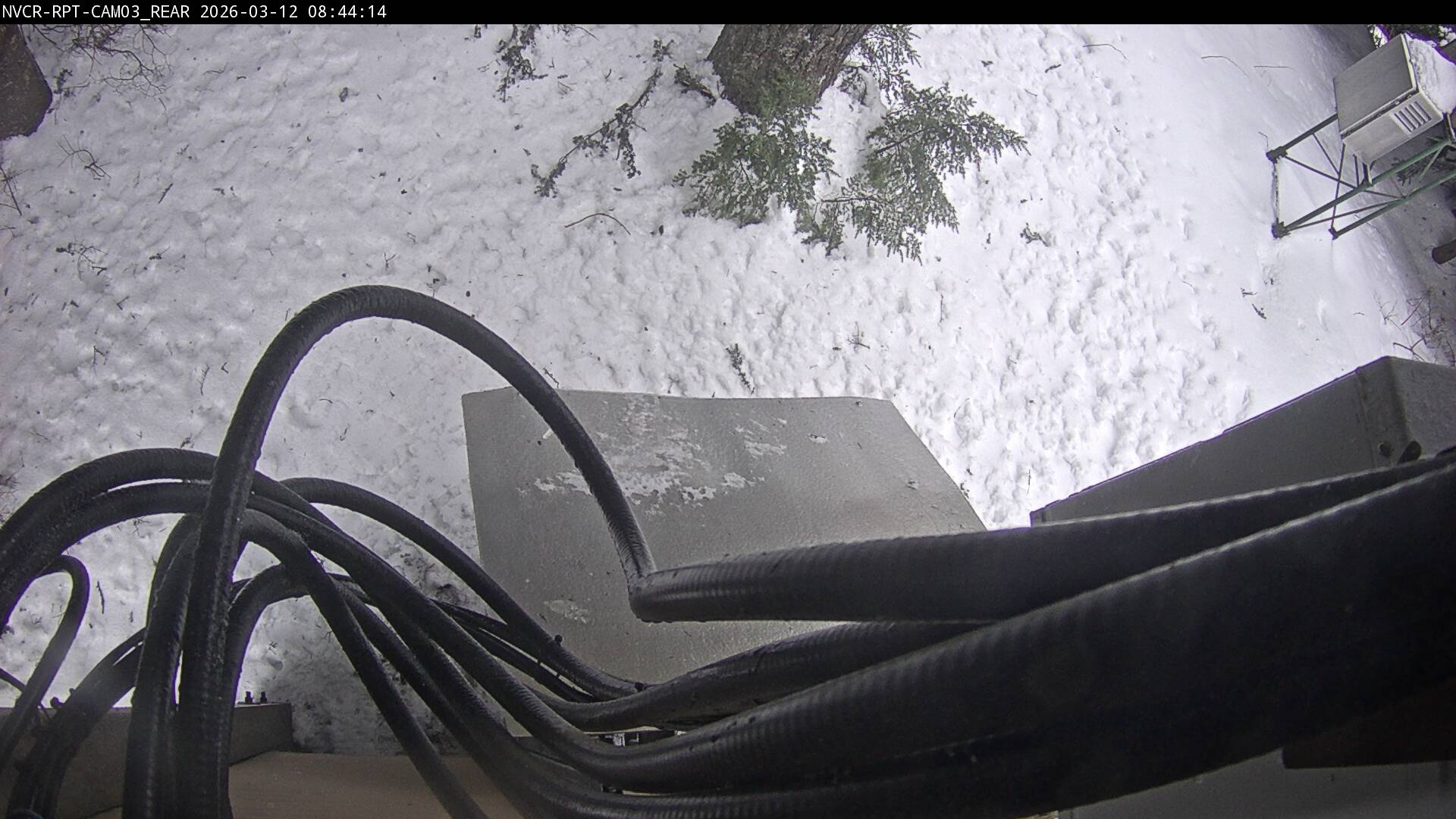 Web Cam History Image - 964