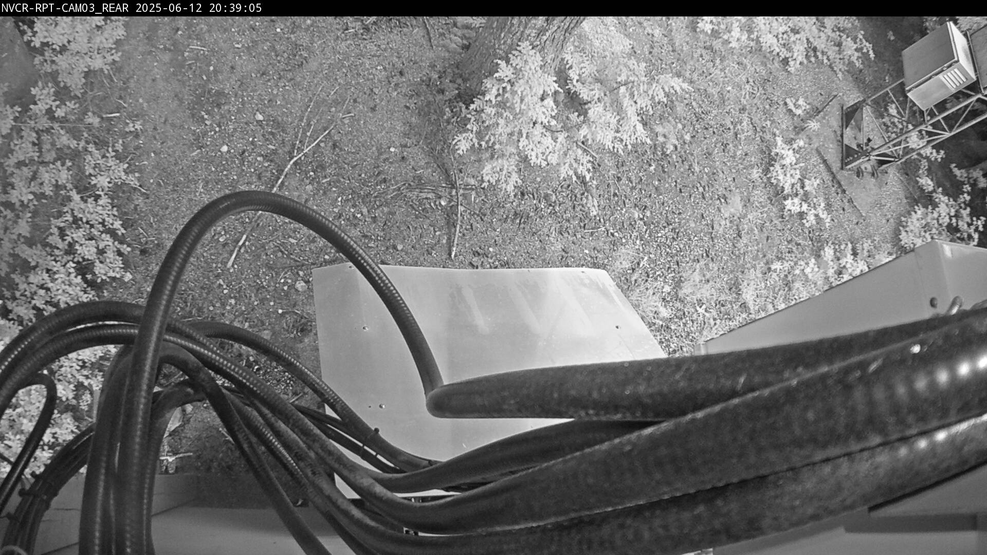 Web Cam History Image - 965
