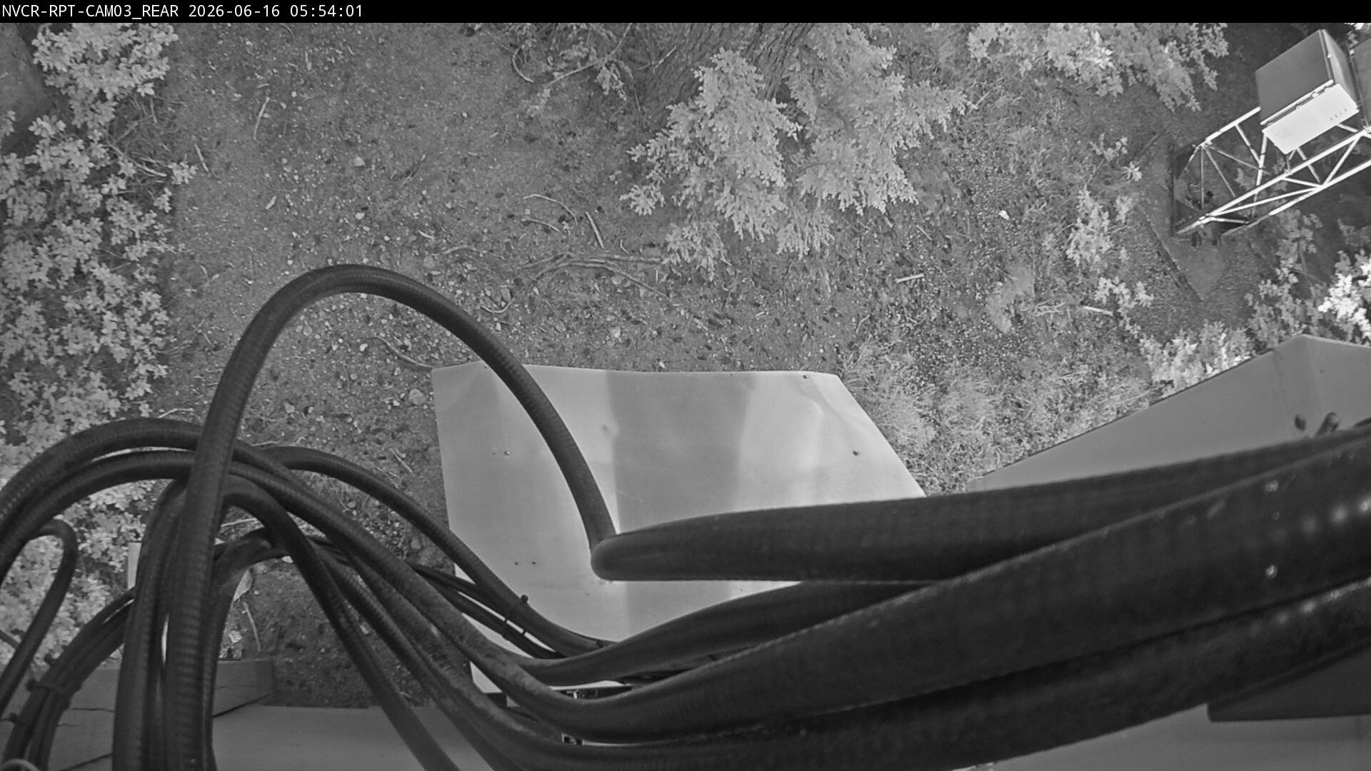 Web Cam History Image - 966