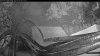 Web Cam Image - Tue, 07/28/2026 5:34am PDT