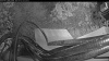 Web Cam Image - Sat, 07/25/2026 7:39pm PDT