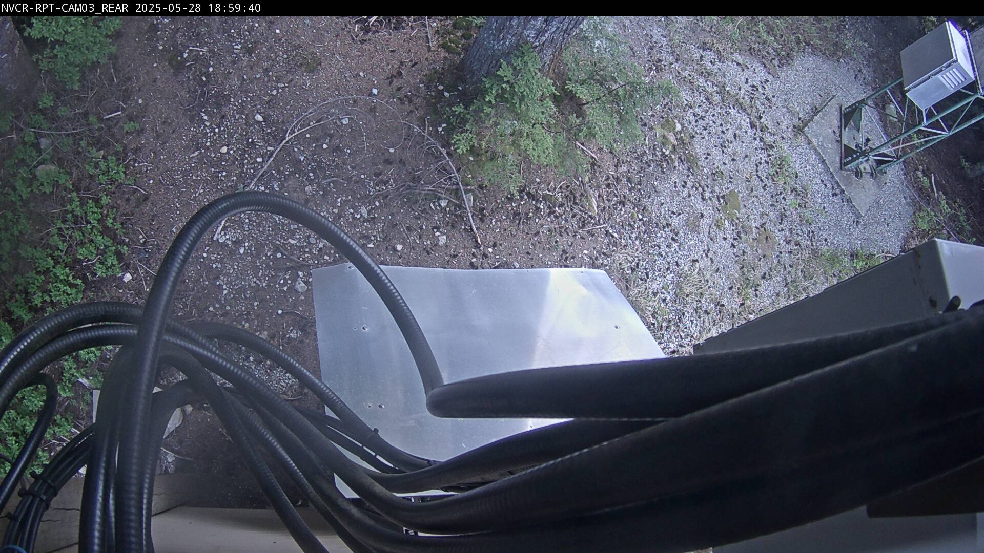 Web Cam History Image - 968