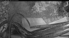 Web Cam Image - Sun, 07/26/2026 7:54pm PDT