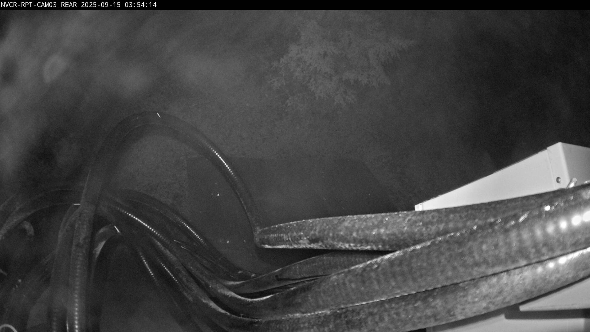 Web Cam History Image - 969