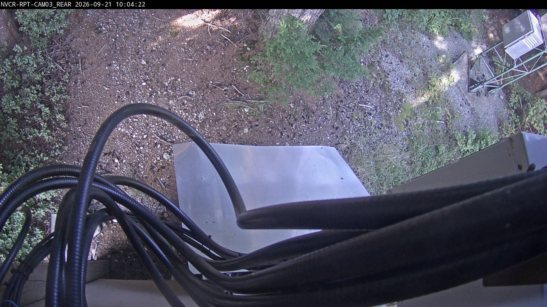 Web Cam History Image - 969