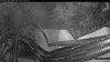 Web Cam Image - Mon, 10/05/2026 6:09pm PDT