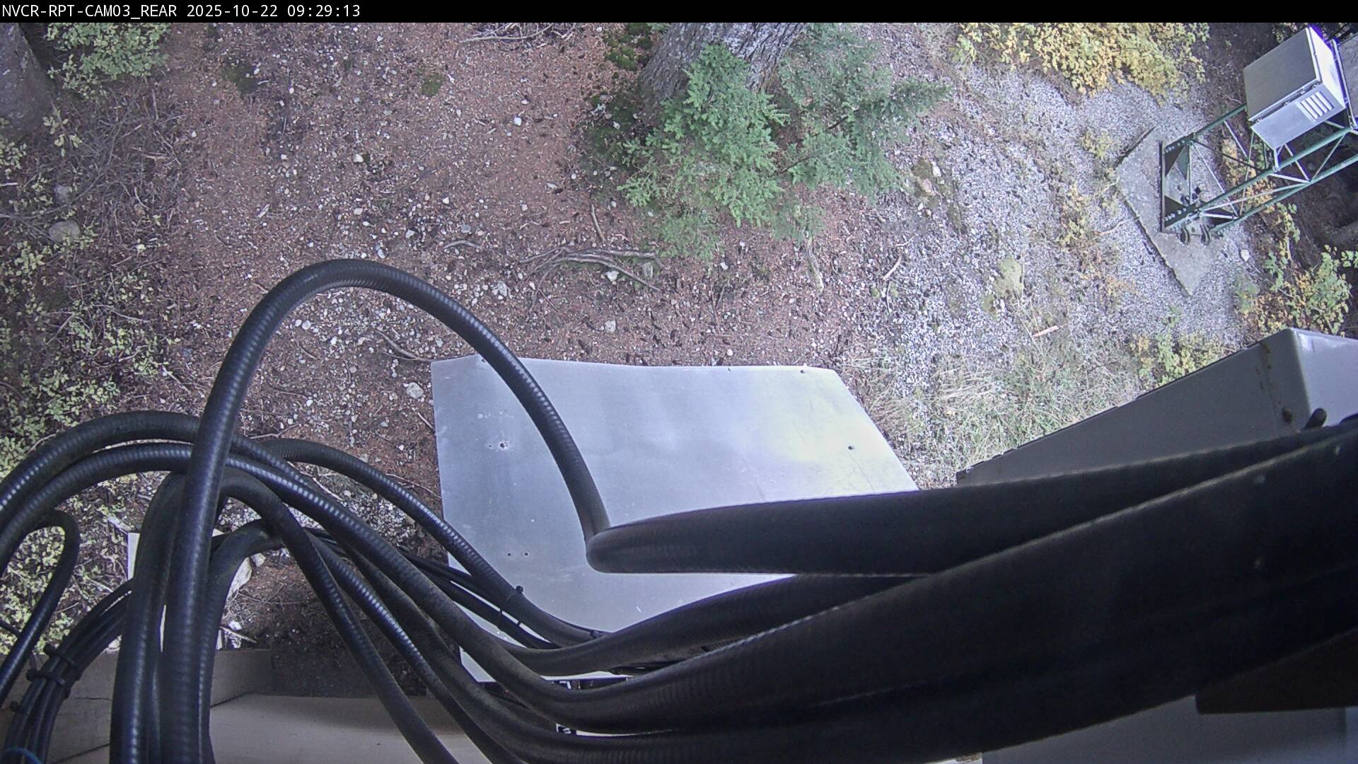 Web Cam History Image - 98
