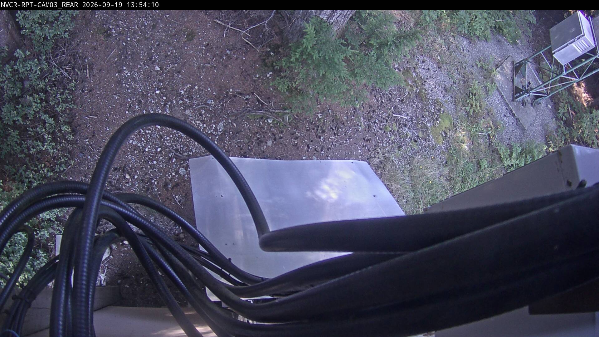 Web Cam History Image - 98