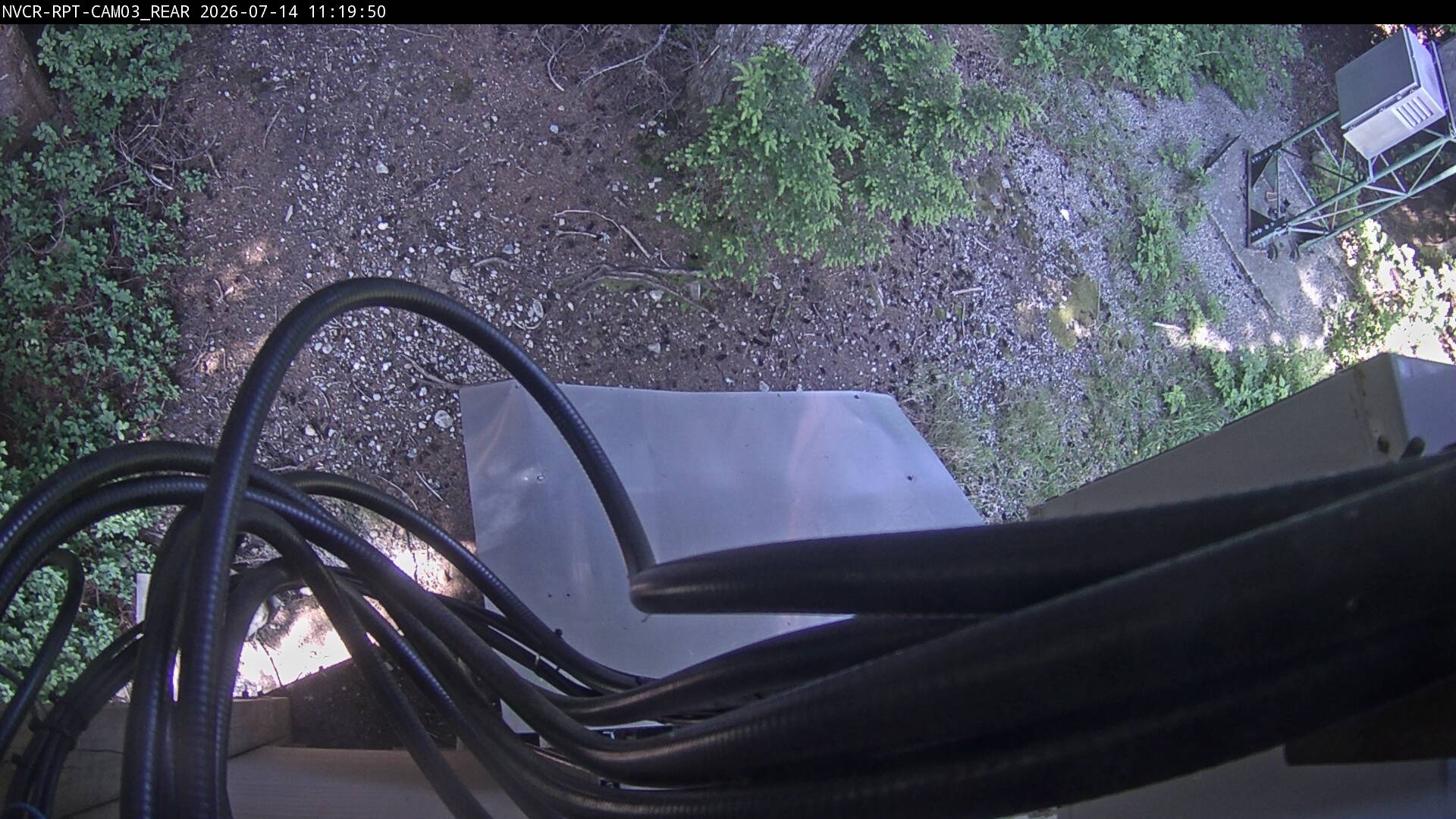 Web Cam History Image - 972