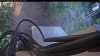 Web Cam Image - Fri, 07/24/2026 5:19am PDT