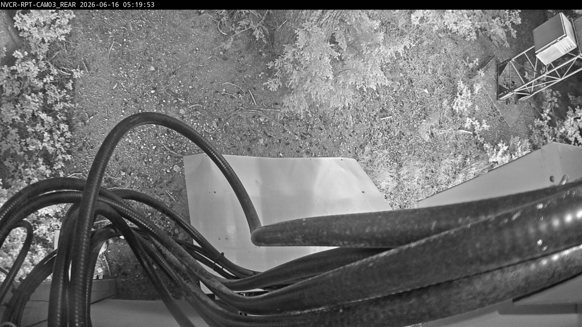Web Cam History Image - 973