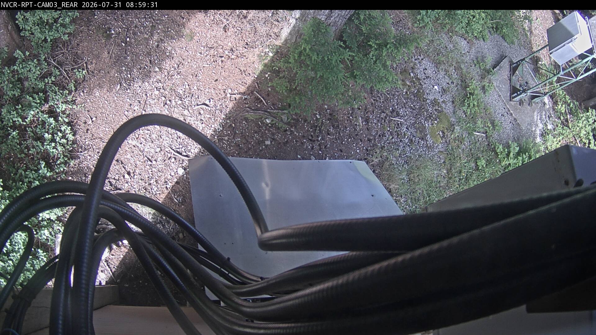 Web Cam History Image - 973