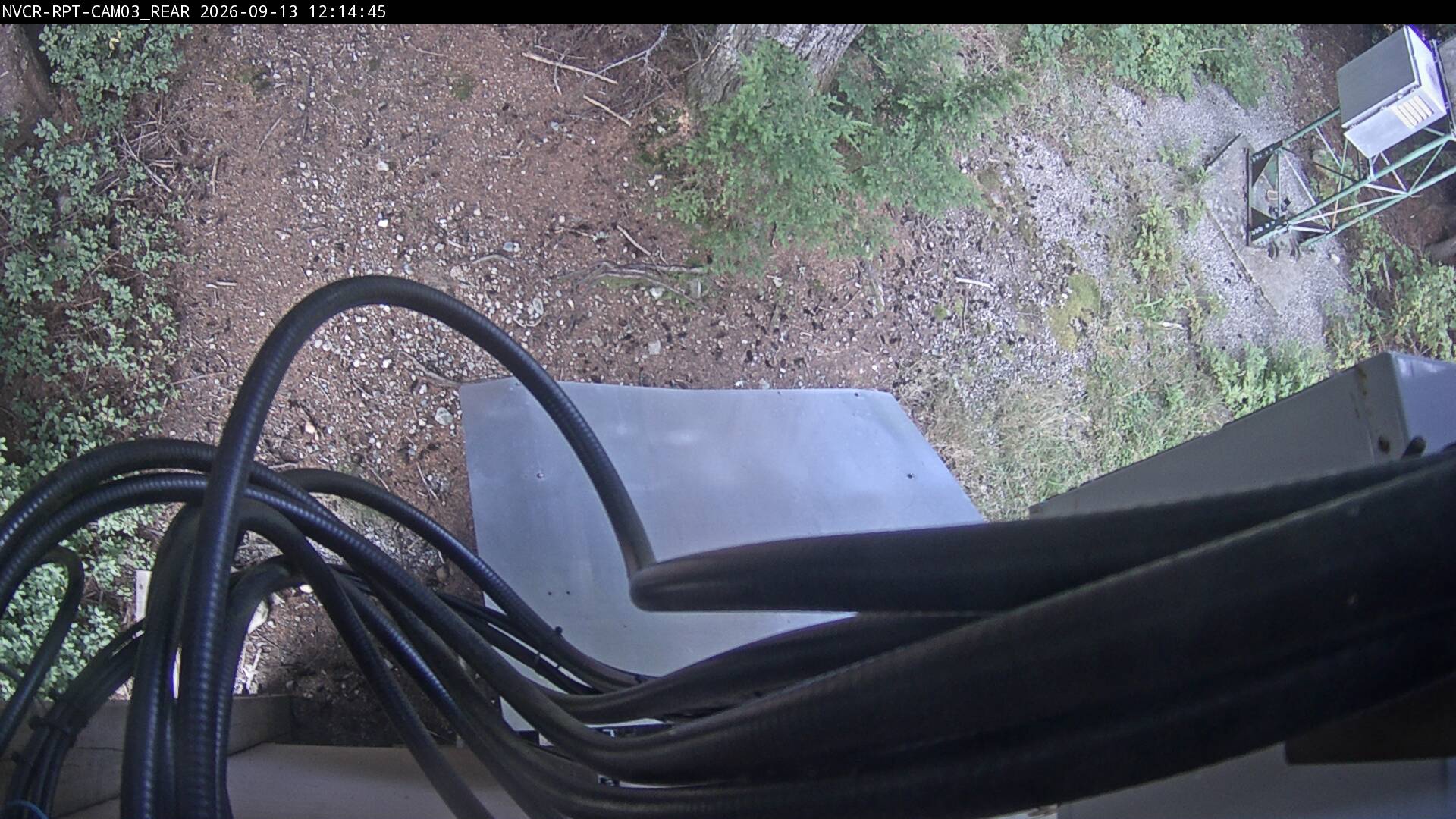 Web Cam History Image - 973
