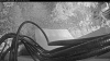 Web Cam Image - Tue, 10/06/2026 7:34am PDT