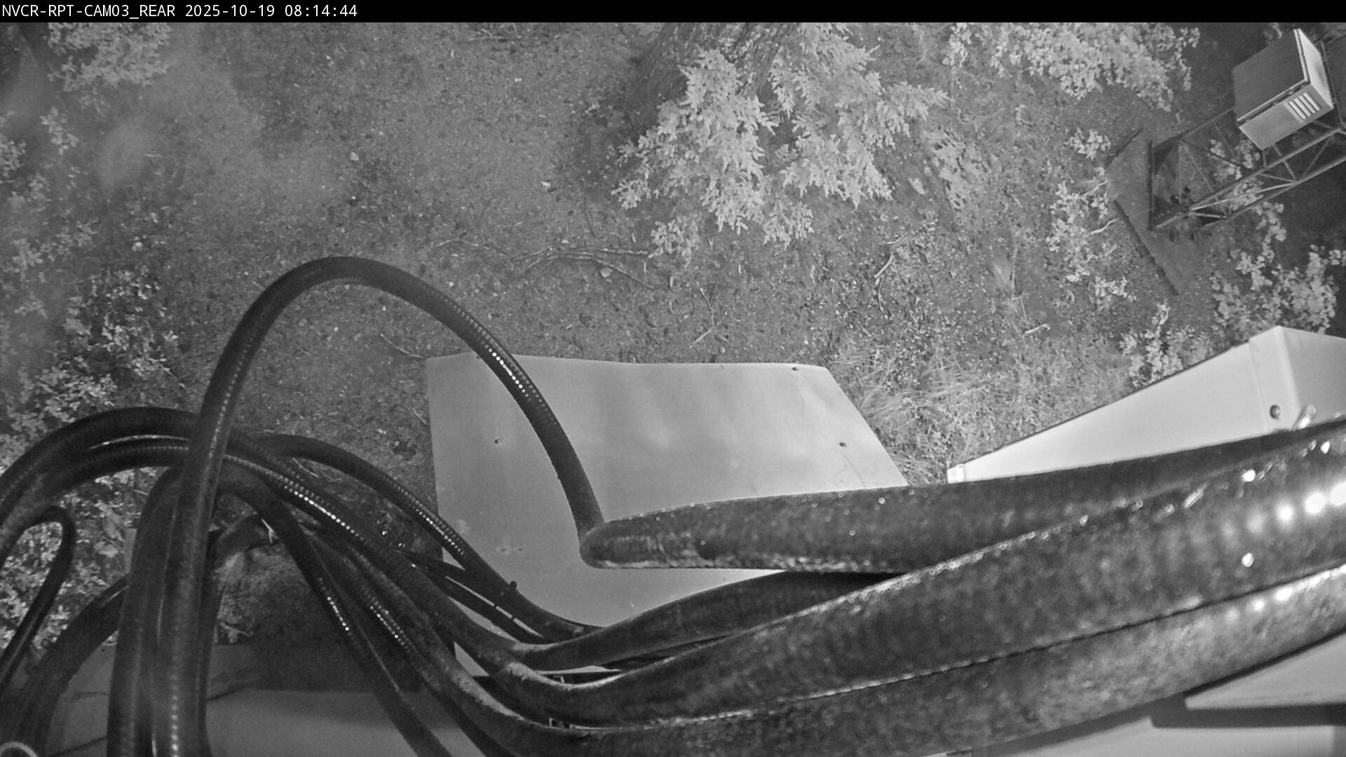 Web Cam History Image - 975