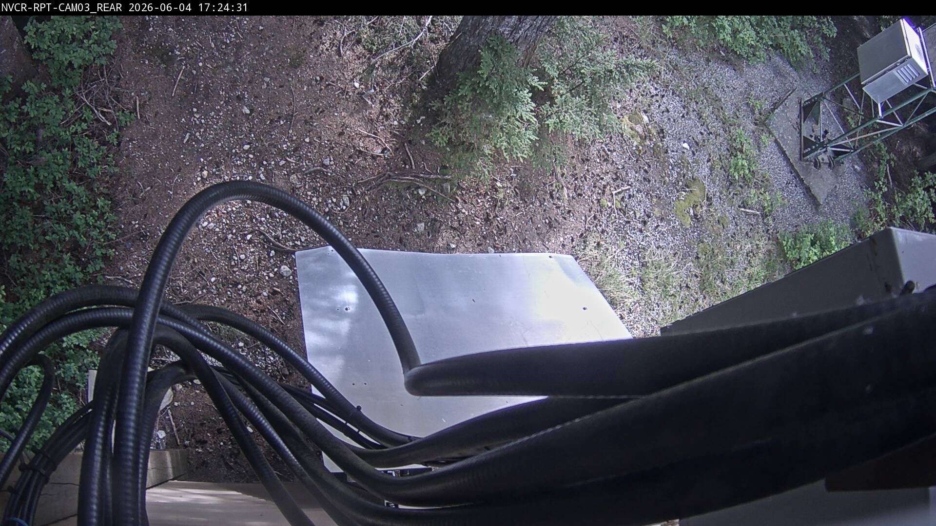 Web Cam History Image - 975