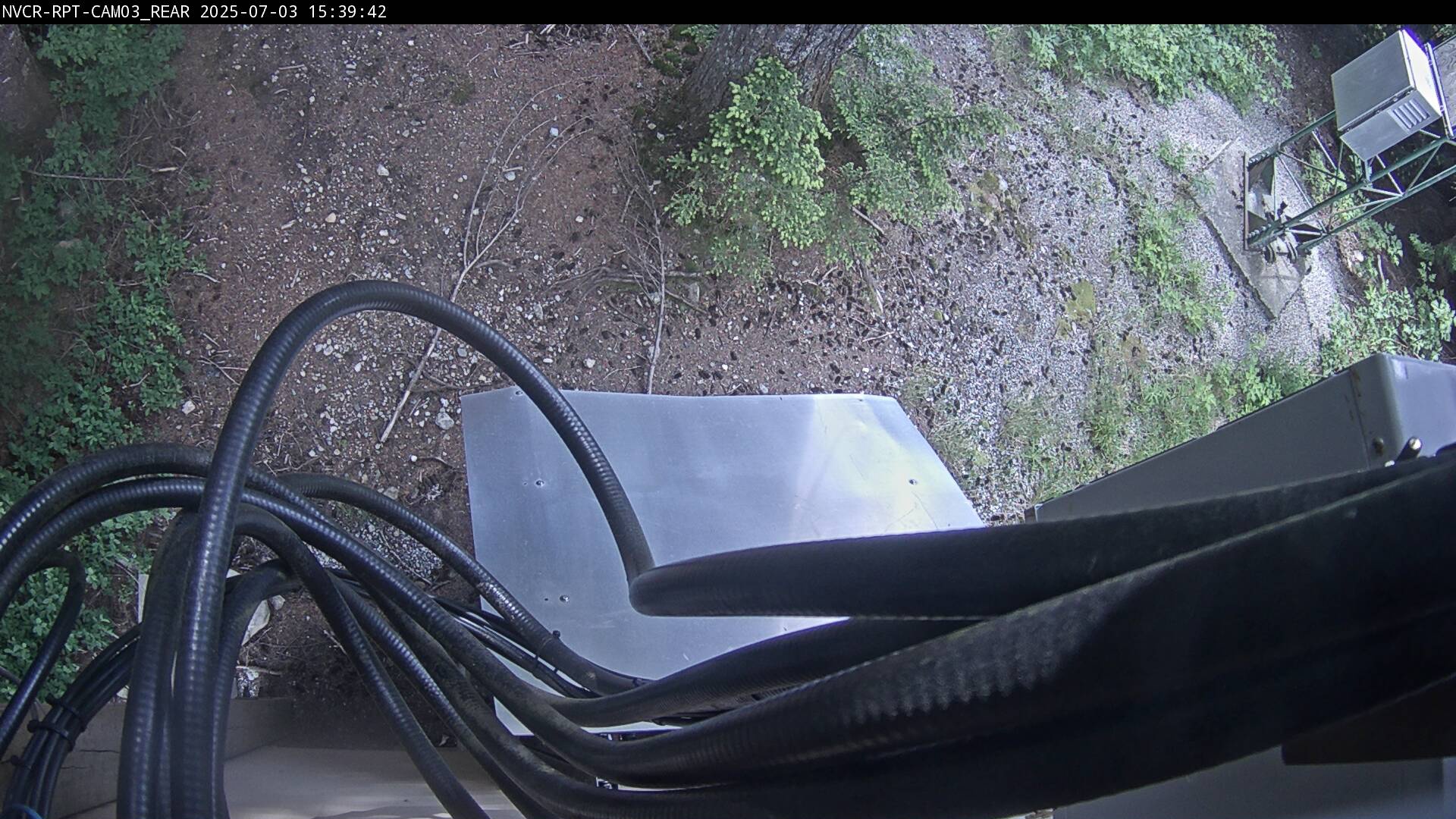 Web Cam History Image - 978