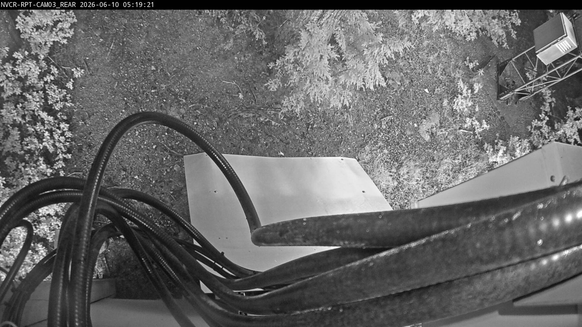 Web Cam History Image - 978