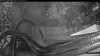 Web Cam Image - Wed, 05/20/2026 4:09am PDT