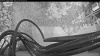 Web Cam Image - Fri, 07/24/2026 5:19am PDT