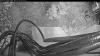 Web Cam Image - Fri, 05/08/2026 4:59am PDT