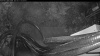 Web Cam Image - Mon, 05/11/2026 3:54am PDT