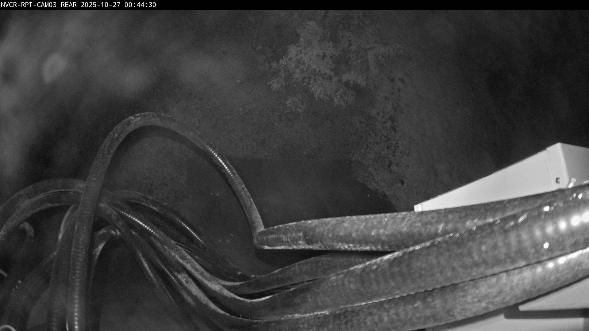 Web Cam History Image - 980