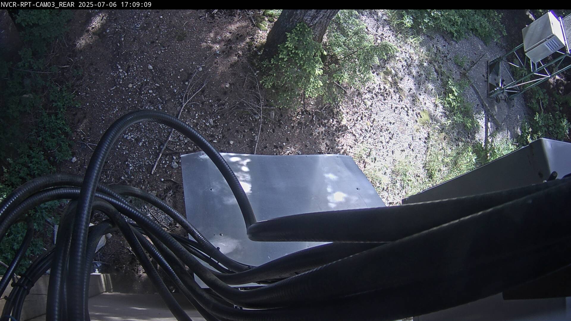 Web Cam History Image - 99