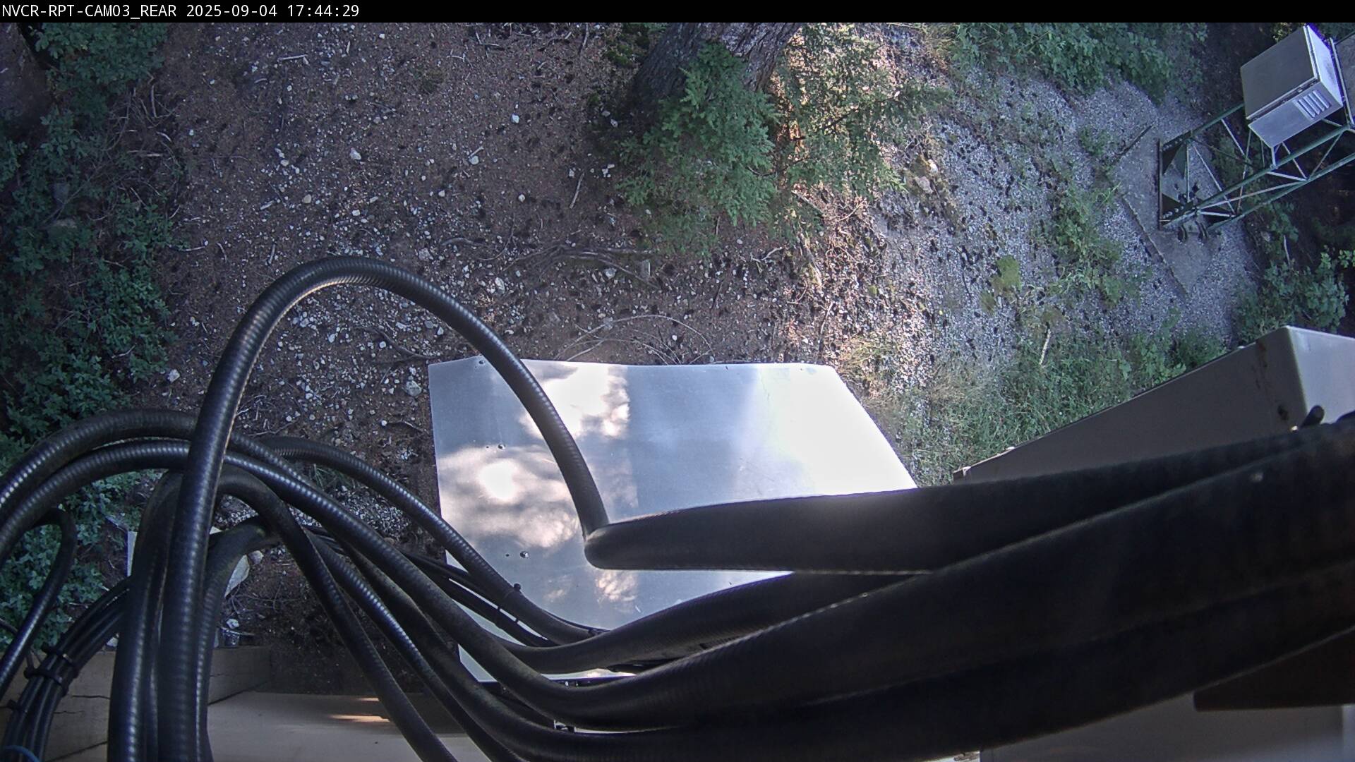 Web Cam History Image - 99