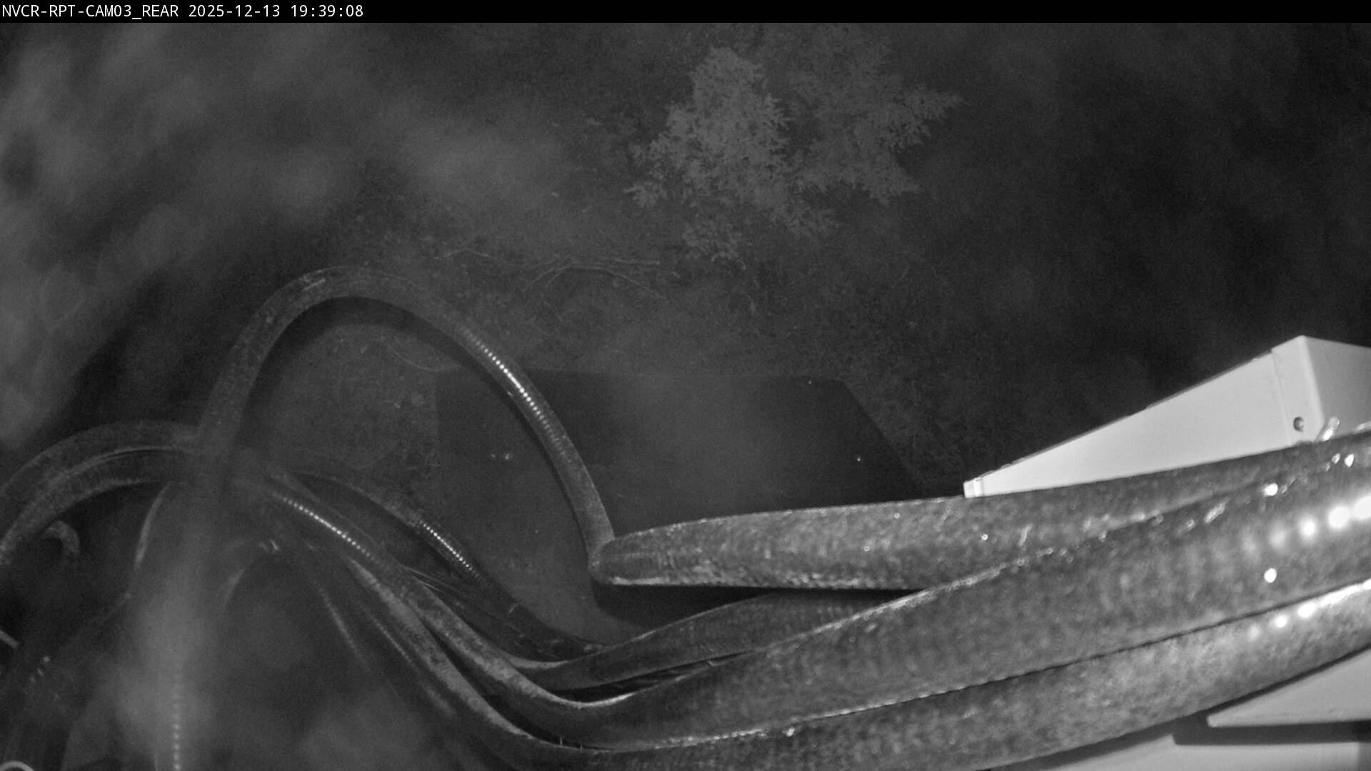 Web Cam History Image - 99