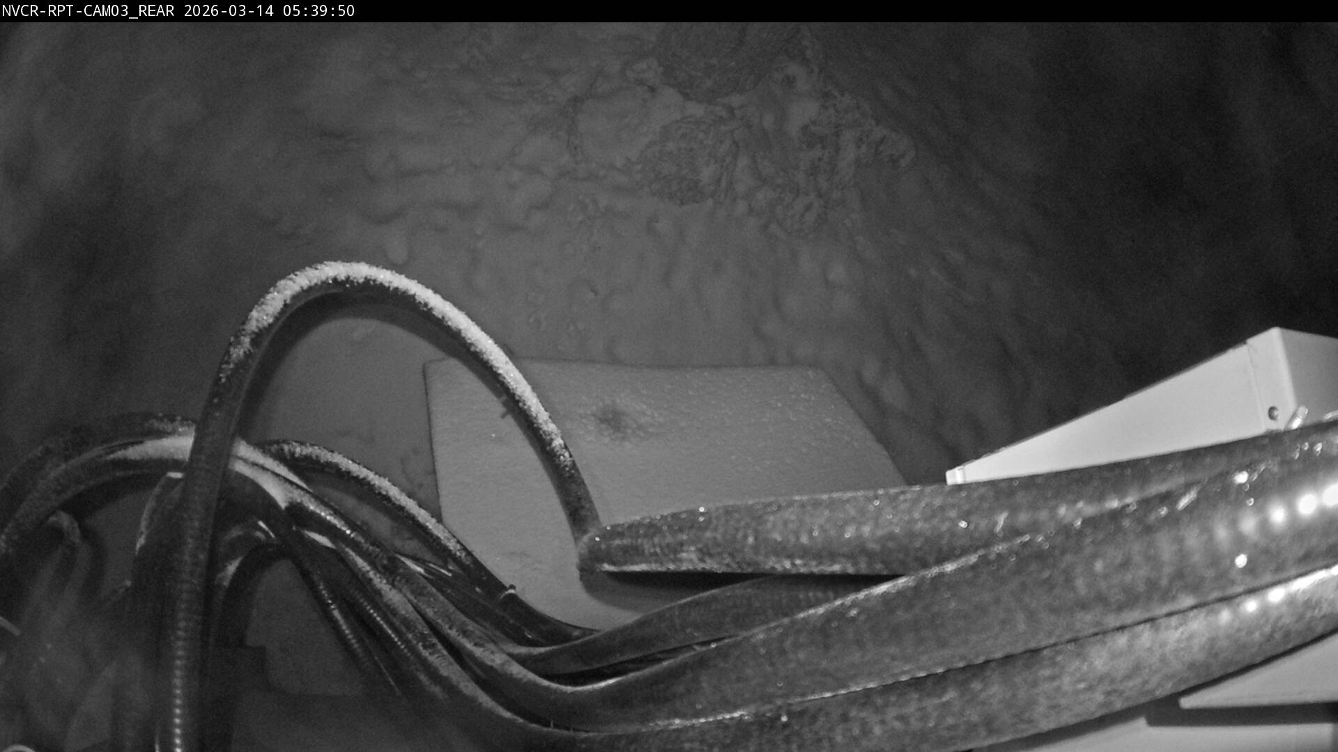 Web Cam History Image - 99