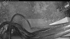 Web Cam Image - Mon, 05/04/2026 3:59am PDT